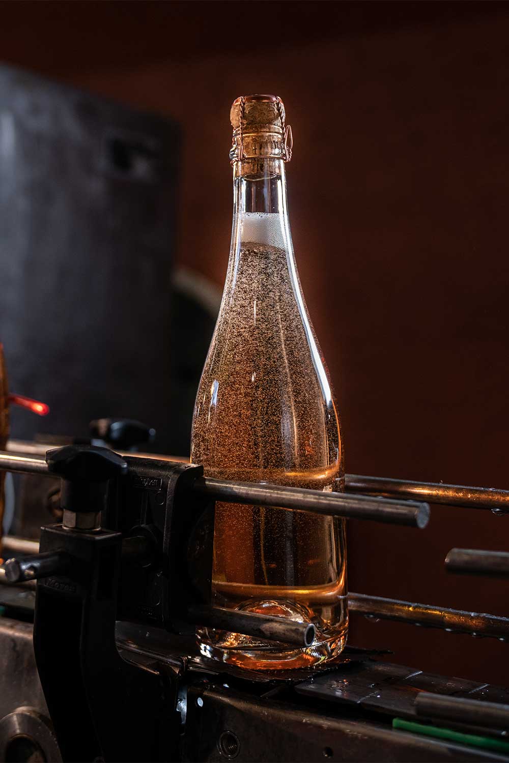 Valsellera appena sboccato