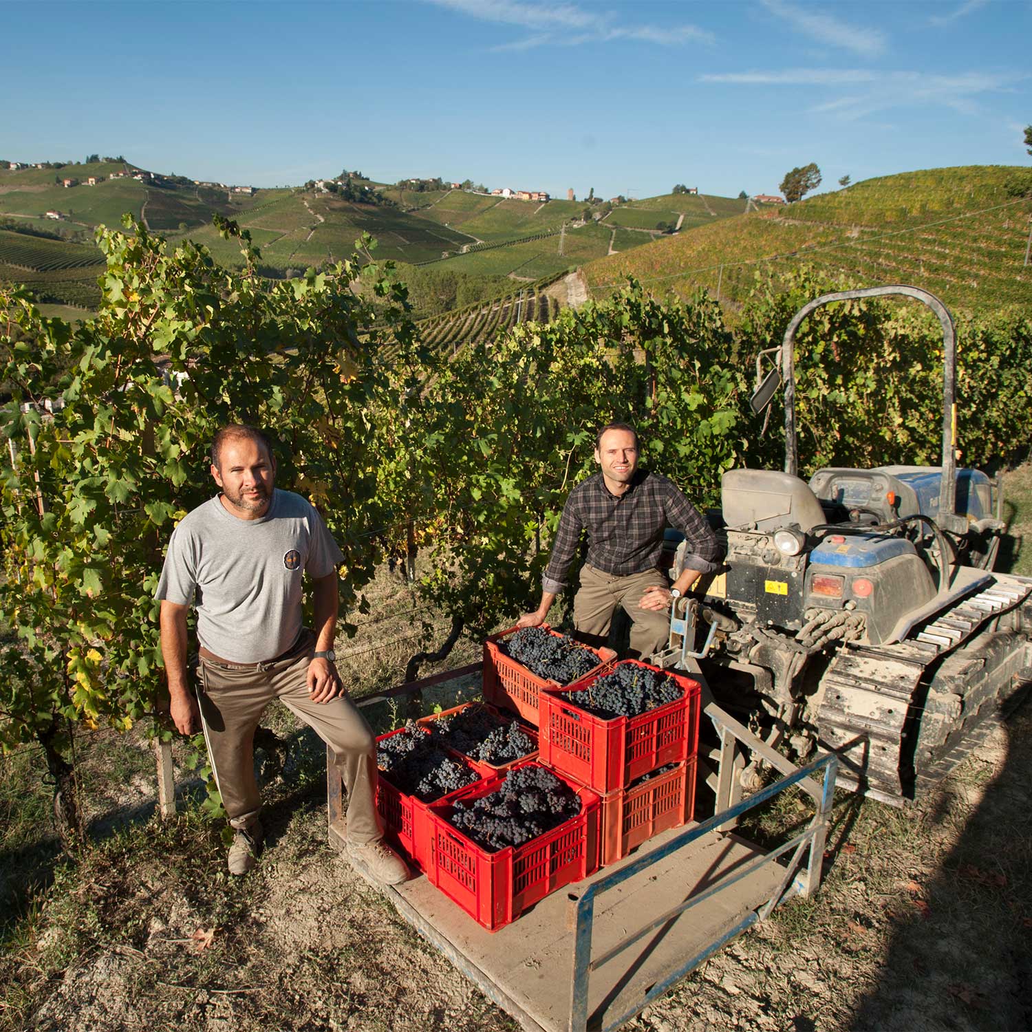 Marco e Fabrizio nel Cru Gallina a Neive