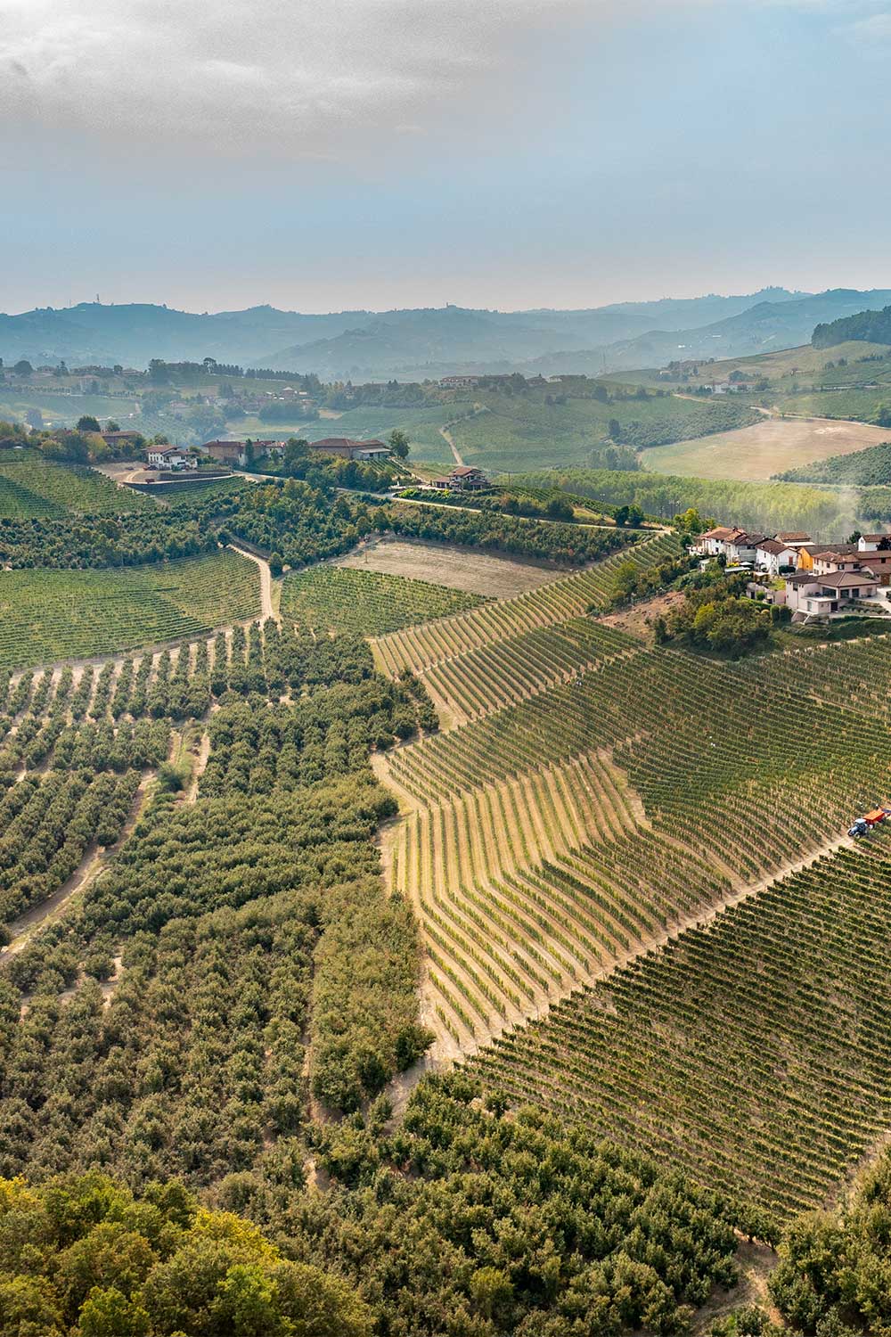 Le colline di Neive