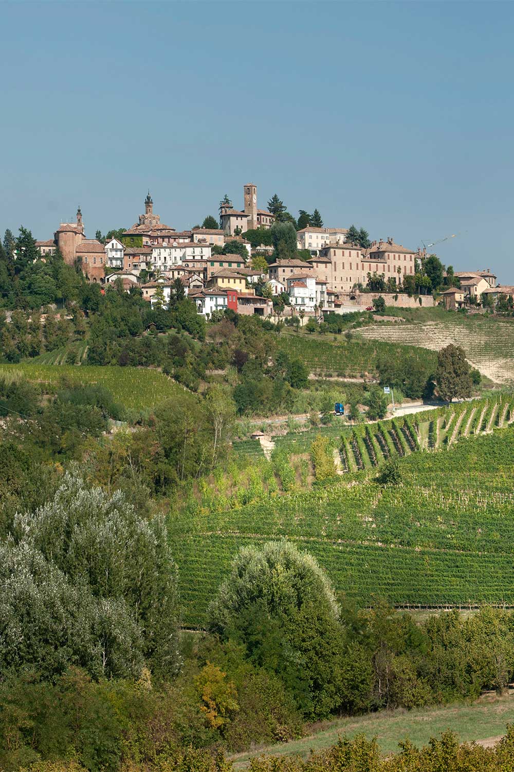 Vigneto Fausoni